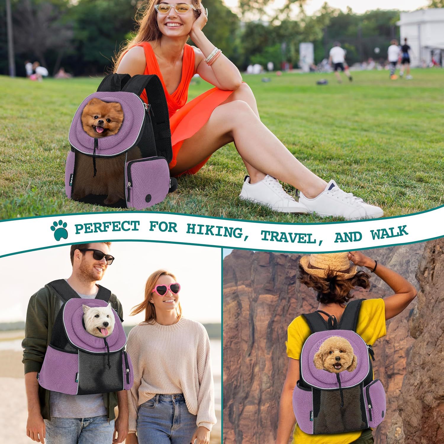 The Ultimate Portable Travel Breathable Carrier for Your Furry Friend